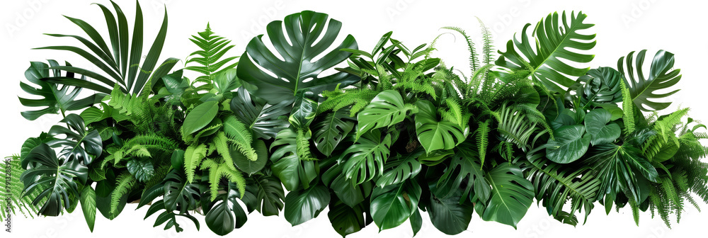 Beautiful composition with fern and other tropical leaves on white background. Banner design Beautiful composition with fern and other tropical leaves on white background. Banner design