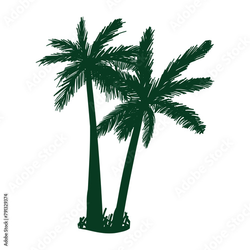 Green Coconut Tree Pair Silhouette