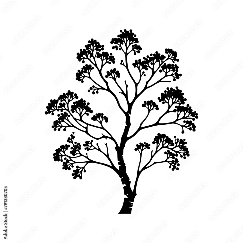 Fototapeta premium Black Vector Alder Tree Silhouette Against the Sky's Canvas, Nature's Artistry Unveiled- Alder Tree Illustration- Alder Tree vector stock.