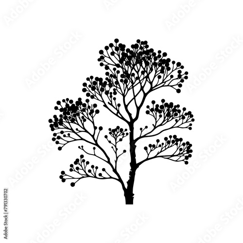 Black Vector Alder Tree Silhouette Against the Sky's Canvas, Nature's Artistry Unveiled- Alder Tree Illustration- Alder Tree vector stock.