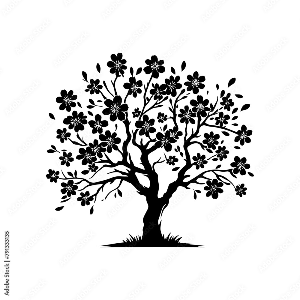 Fototapeta premium Black Vector Almond Tree Silhouette Amidst the Evening's Embrace, Nature's Elegance Captured- Almond Tree Illustration- Almond tree vector stock.