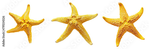 Set of yellow Starfish isolated on a transparent background © anupdebnath