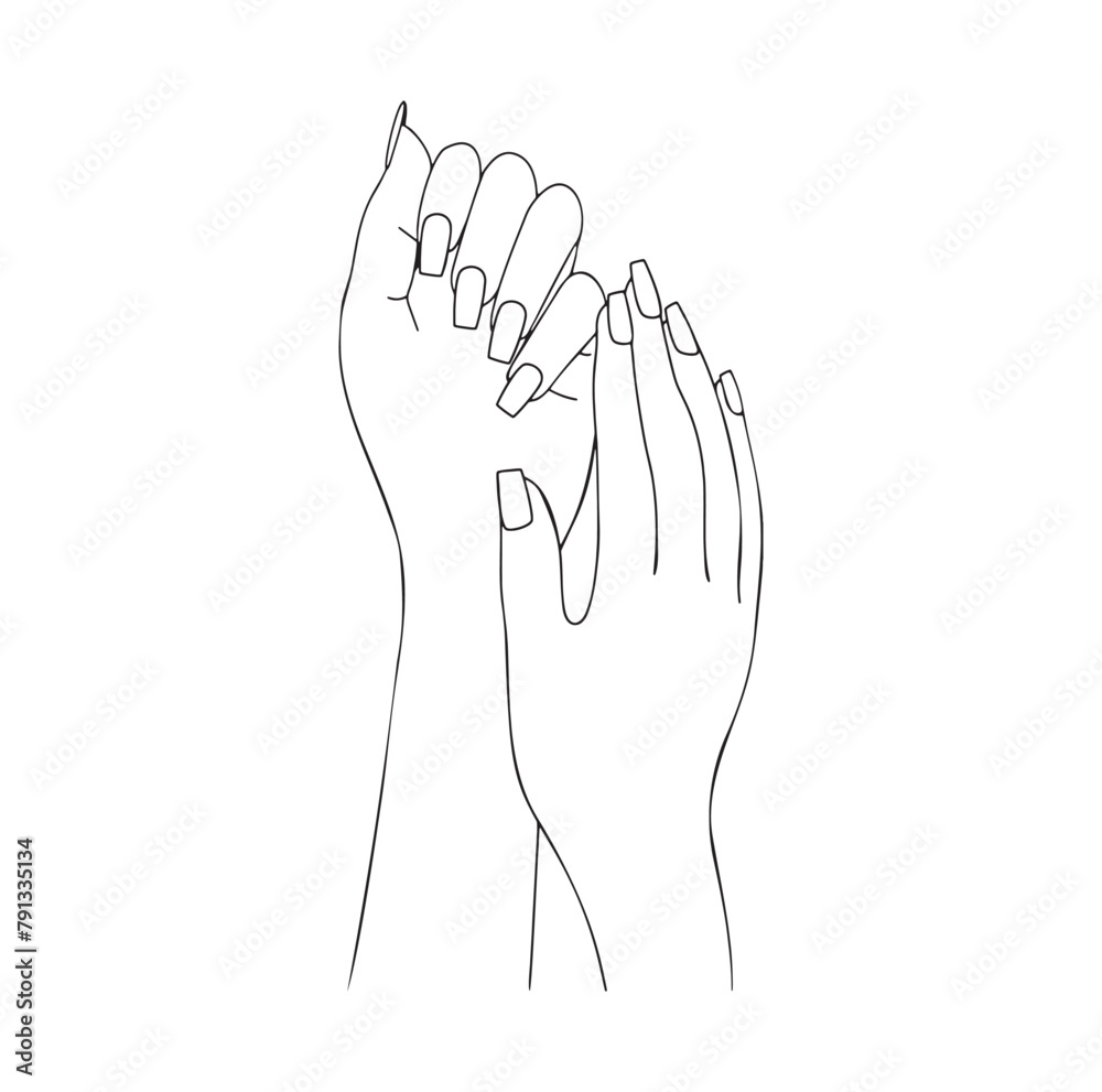 elegant hands vector outline elegant hands vector outline