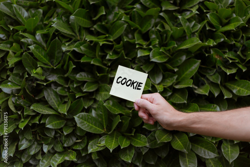 Person holding a white card with a COOKIE print with green Bay laurels © Wirestock