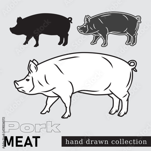 Farm pig drawing. Pork Meat illustration. Line art pig vector.