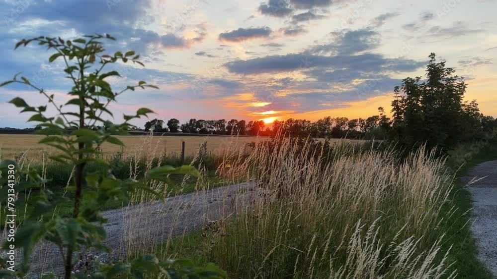 A Beautiful Shot Of A Meadow Sunset In Southern Sweden A Beautiful Shot Of A Meadow Sunset In Southern Sweden