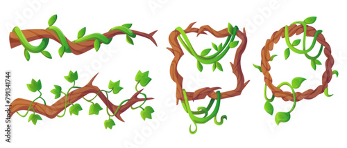 Jungle liana vine - long branches and circle and square frame with green creeping plant and leaves. Cartoon vector illustration set of game ui design borders made of tropical climbing plant. © klyaksun