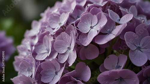 a close up of purple flowers.generative.ai