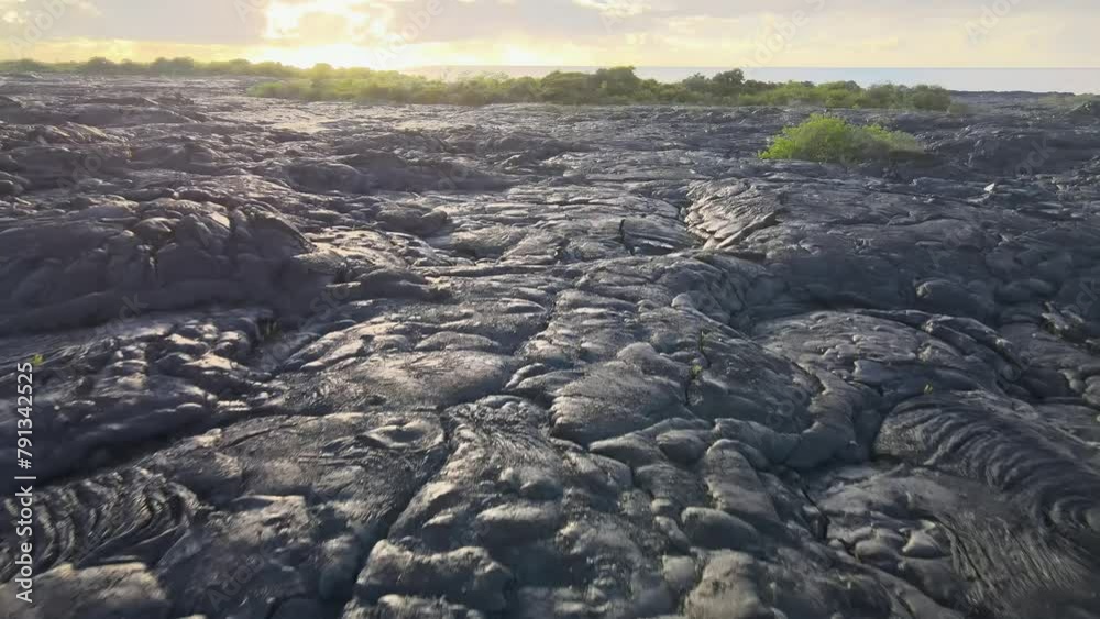 Low drone push-in captures dried lava fields on Big Island, Hawaii Low drone push-in captures dried lava fields on Big Island, Hawaii