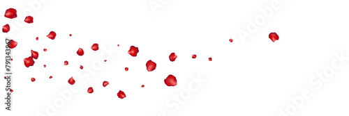 Flying red petals transparent background. Beautiful floral overlay with lots of rose petals.