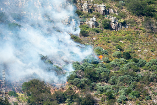 fire in the mountains close up view of a fire and smoke smouldering on Table Mountain, Cape Town, South Africa concept fire season in nature