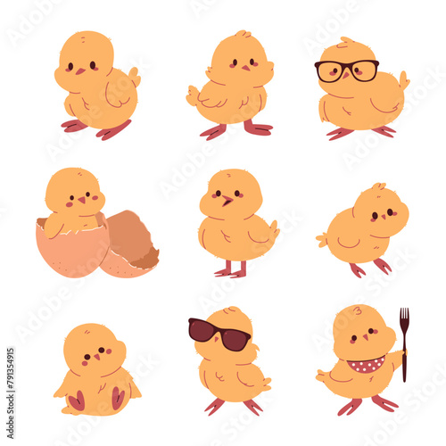 Chicks vector cartoon set isolated on a white background.