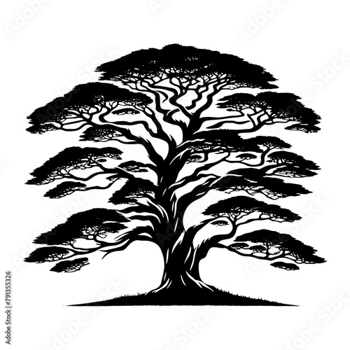 Black Vector Cypress Tree Silhouette, Nature's Guardian Standing Tall Amidst Darkness- Cypress Illustration- Cypress Vector Stock