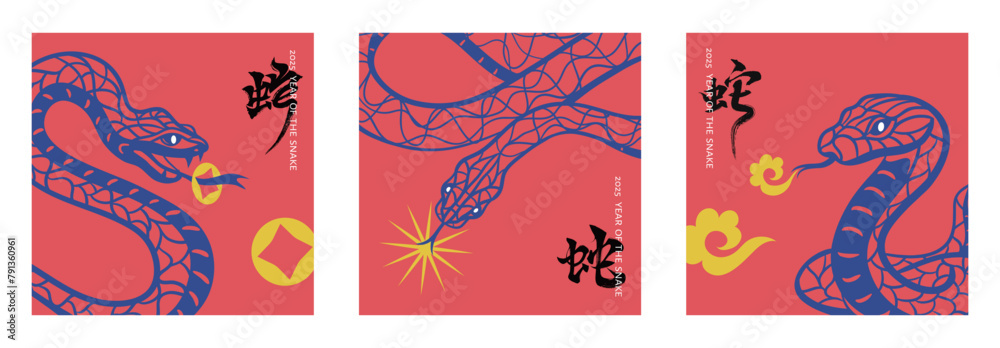 Obraz premium 2025 vector illustration set. snake in paper cut art style with calligraphy ,Year of the snake card or banner Template (Chinese translation : snake)