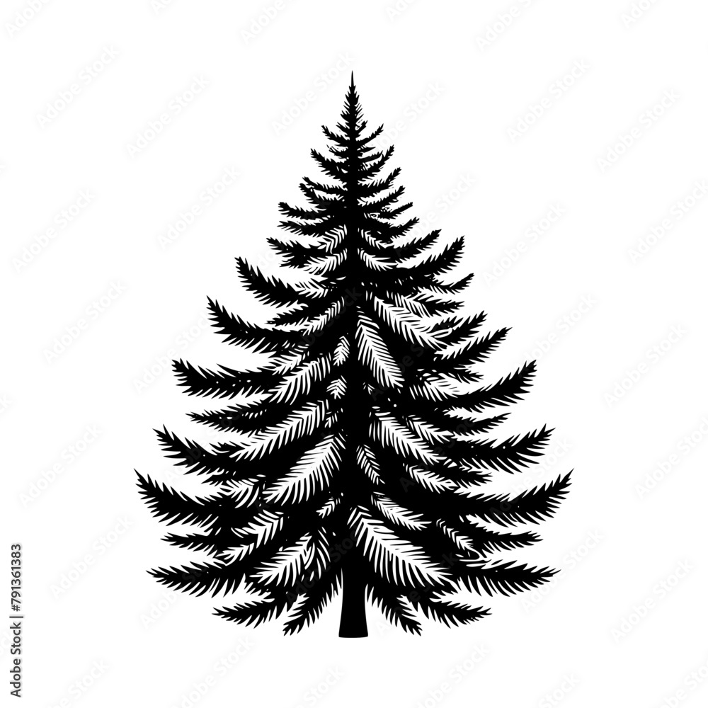 Black Vector Fir Tree Silhouette, Nature's Evergreen Guardians Standing Tall in Darkness- Fir tree Illustration- Fir tree vector stock.