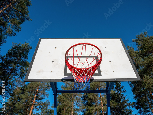 basketball hoop against blue sky and pine trees in a sunny day outdoors
