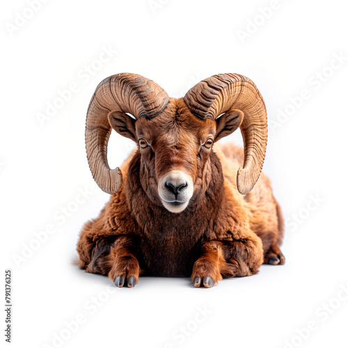 Ram With Large Horns Laying Down. Generative AI