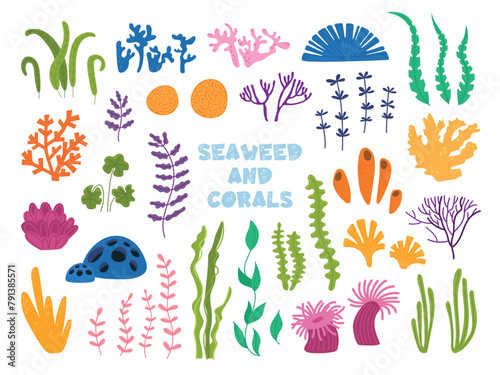 Underwater seaweed and corals. Ocean plants, isolated algae, sea stones and flowers. Nature elements, decorative aquarium classy vector clipart