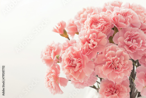 A bouquet of pink carnations in a vase isolated on white background with copy space. © Sunday Cat Studio