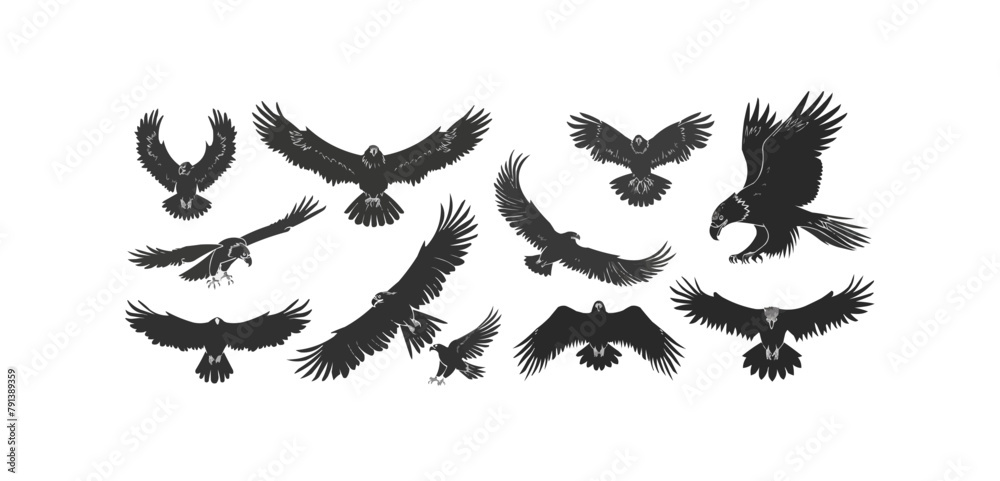 Fototapeta premium Eagle silhouettes set, large pack of vector silhouette design, isolated white background