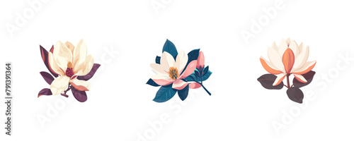 Elegant Magnolia Flower. Vector illustration design.