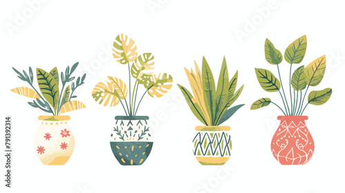 Set of Four different tropical house plant. Ficus mon photo