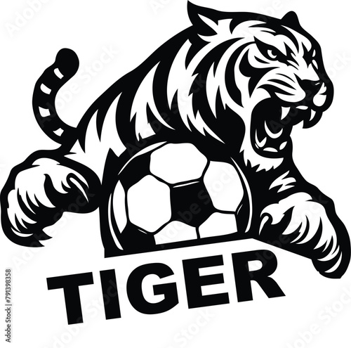 vector of head of the tiger hold a soccer ball for football club logo