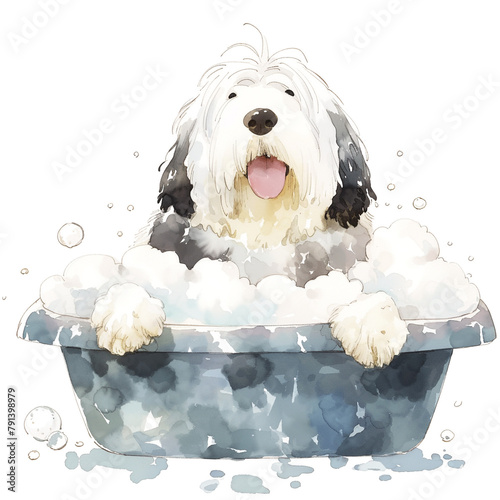 Old English Sheepdog Enjoys Bathing In Watercolor