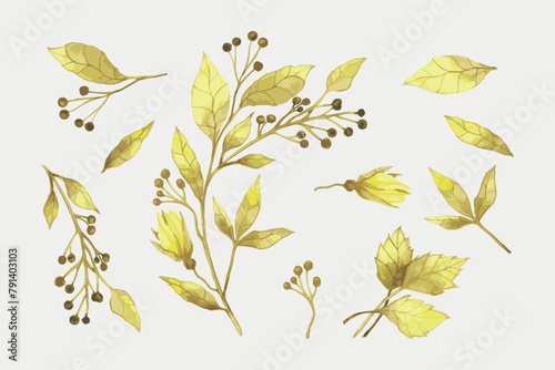 Set of colorful autumn leaves. Vector illustration. vector set of autumn watercolor leaves and berries, hand drawn design elements