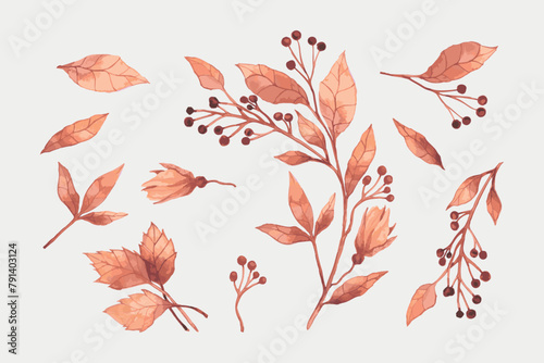 Set of colorful autumn leaves. Vector illustration. vector set of autumn watercolor leaves and berries, hand drawn design elements photo