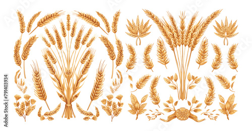 Wheat rye ears cartoon vector collection. Malt grains barley organic stems shoots food bread hops agricultural cereals heraldic symbol seeds, illustration isolated on white background