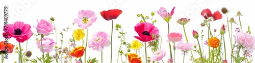Vibrant collection of various flowers isolated against a white backdrop  showcasing natural beauty and diversity.