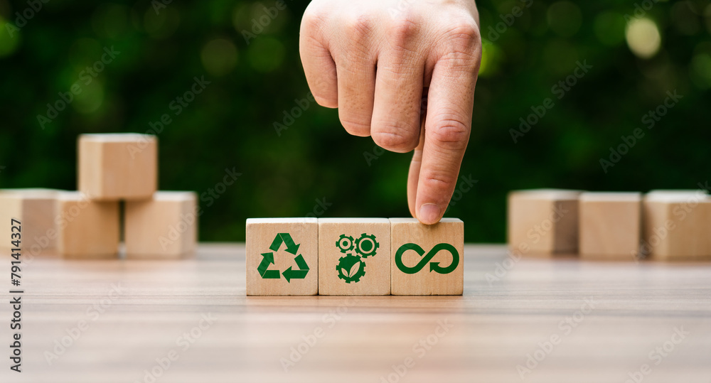 Circular economy Economic resource Recycle Environmental alternative ...