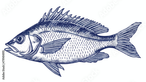 Fish sketch hand drawn vector illustration in dark bl