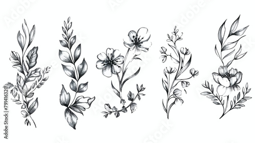 Flower ornament dividers. Hand drawn vines decoration
