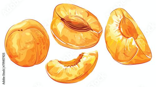 Fruit wedges apricot pieces in realistic vintage style