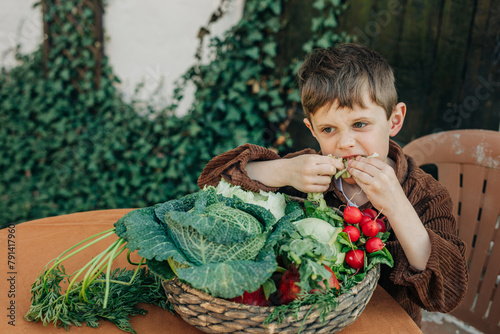 Boy eating fresh organic vegetable from vintage wicker basket on table in back yard photo