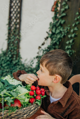 Boy eating organic vegetable from vintage wicker basket in back yard photo