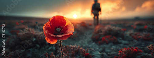Macro shot of a poppy in the foreground with a silhouette soldier walking away in the background, representing the continuous journey despite loss, high-resolution