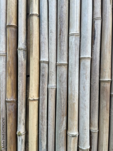 natural background dry bamboo trunks