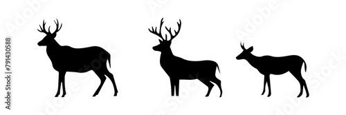 silhouette of a group of deer