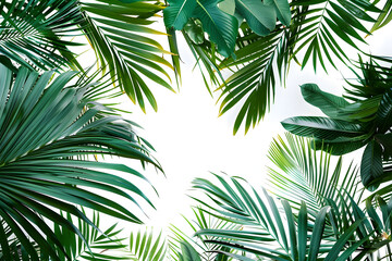 palm leaves background frame, empty copy space in the middle