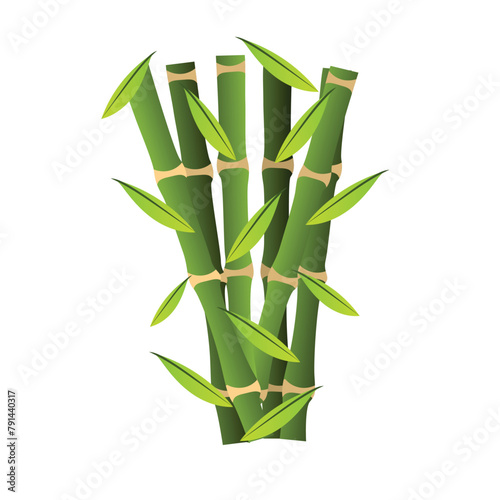 Bamboo icon vector