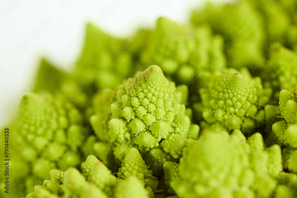 Close Up of Fresh Broccoli Bunch Close Up of Fresh Broccoli Bunch