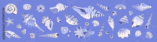 Exotic seashells set. Various ocean cockleshells: florida conch, cowrie, scallop, nautilus, whelks, mollusk with pearls. Patterned sea shells with different shapes. Flat isolated vector illustration