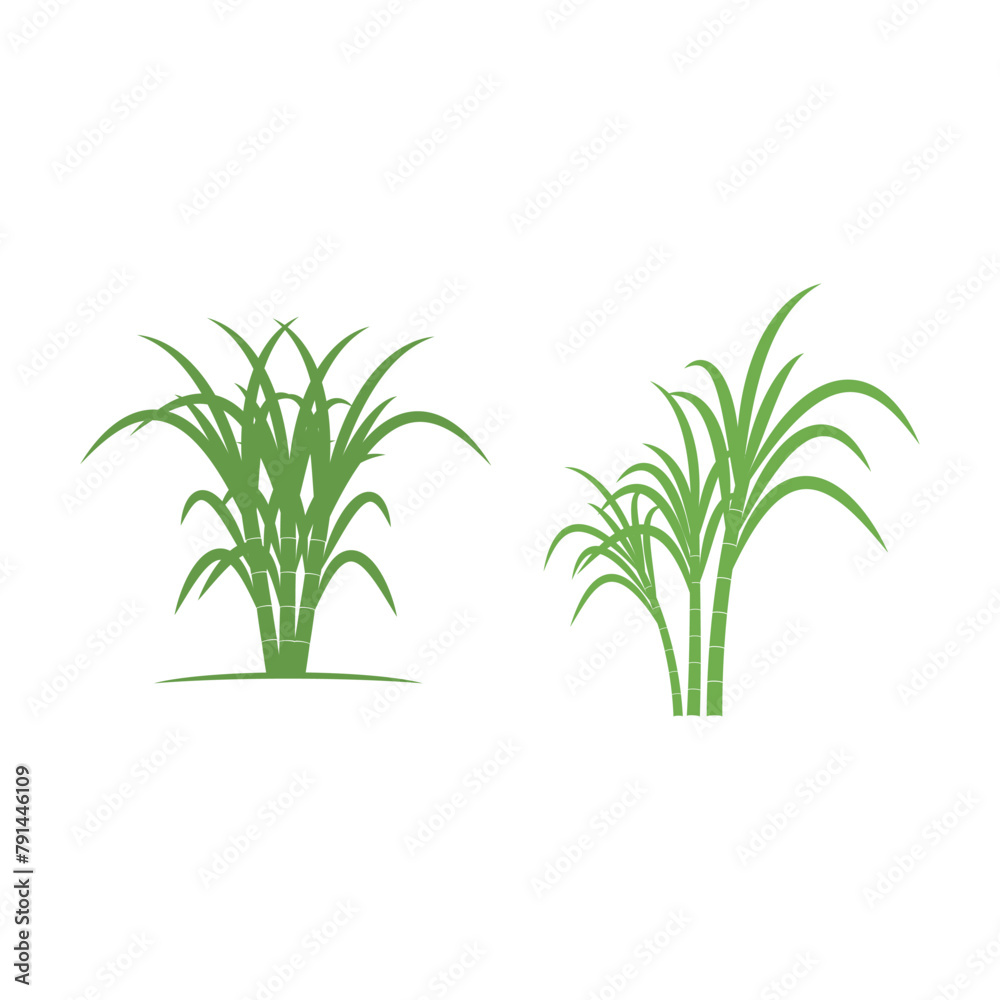 Obraz premium Sugarcane logo vector template symbol design