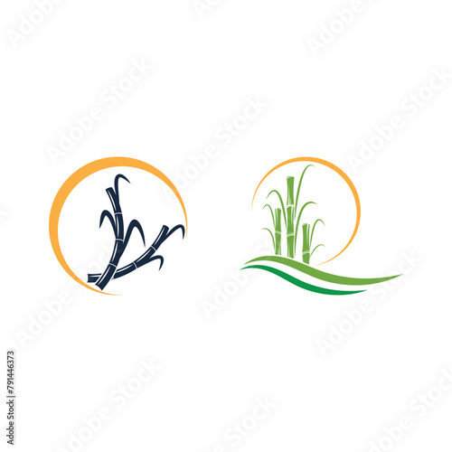 Sugarcane logo vector template symbol design