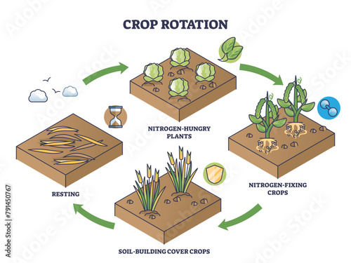 Crop rotation as sustainable soil fertility and resting cycle outline diagram, transparent background. Labeled educational scheme with nitrogen hungry or fixing plants.