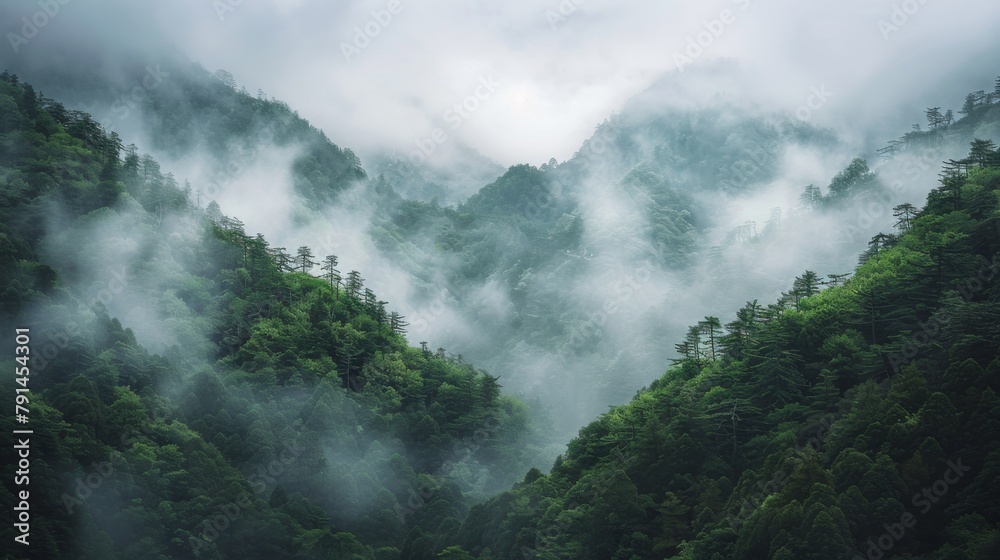 Beautiful misty mountain landscape with forest in the foreground