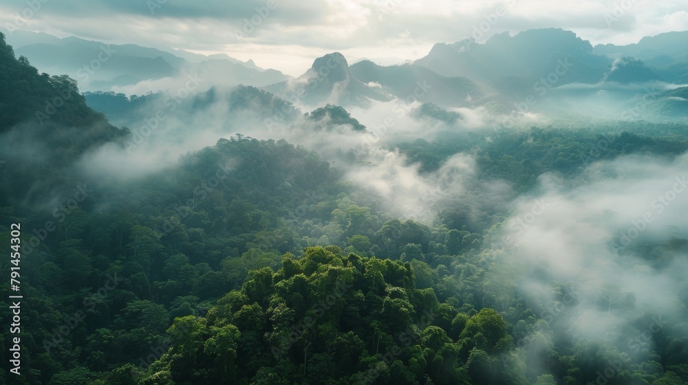 Beautiful misty mountain landscape with forest in the foreground Beautiful misty mountain landscape with forest in the foreground